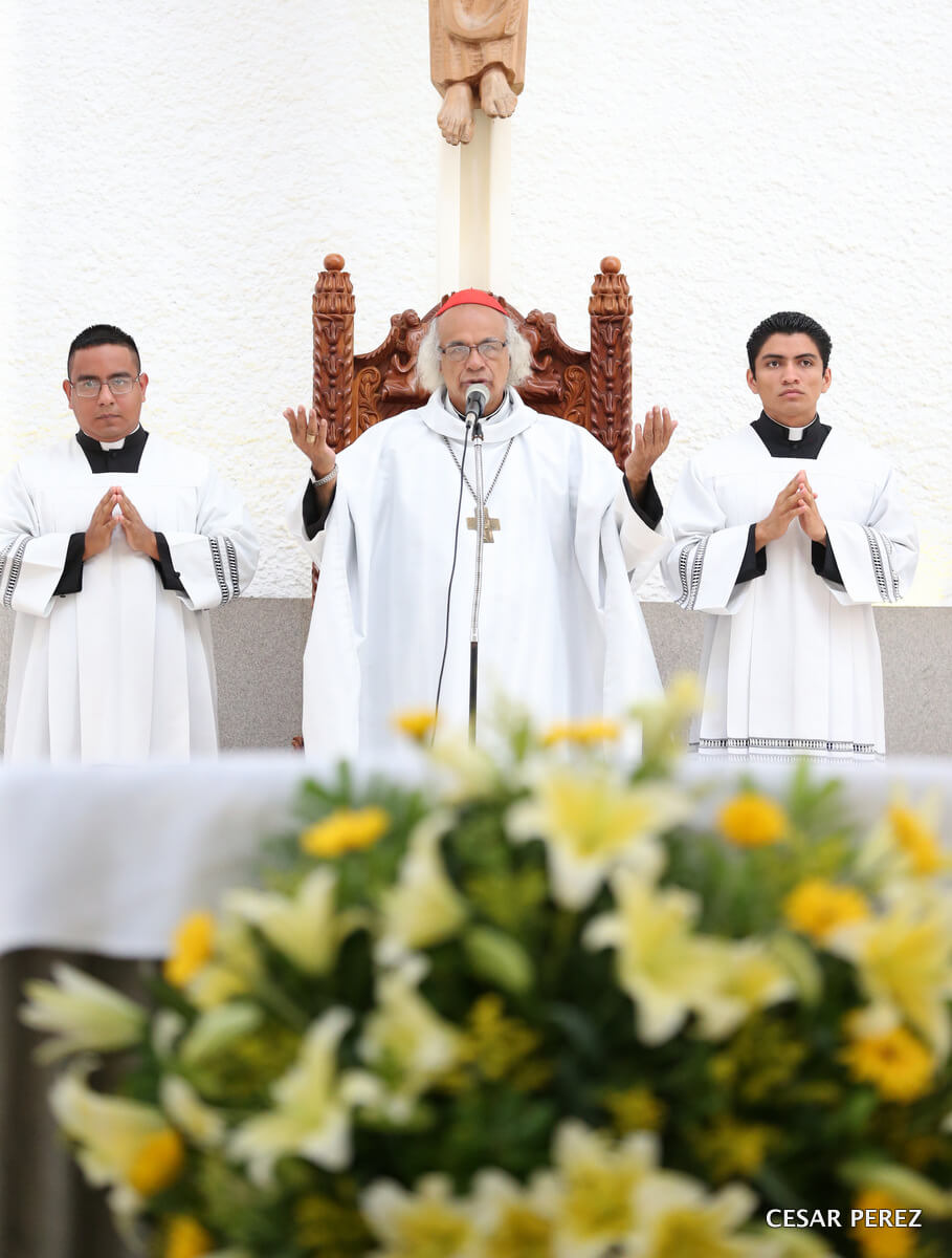 Cardenal1